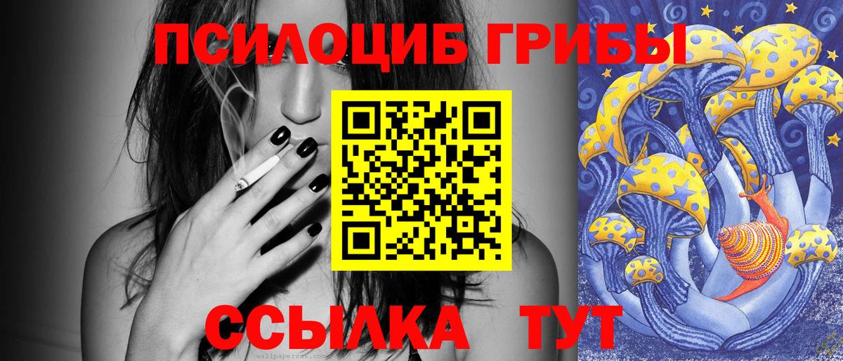 Галлюциногенные грибы Psilocybine cubensis Югорск